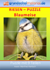 Riesenpuzzle_Blaumeise.pdf